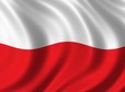 Czytaj artykuł: Pierwsza tura wyborów za nami. Jak głosowali słubiczanie? polska