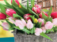Czytaj artykuł: Wiosna w mieście, czyli Frankfurt zaprasza na cityFRÜHLING wiosna city_th