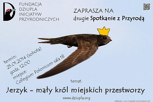 dziupla-jerzyk-plakat