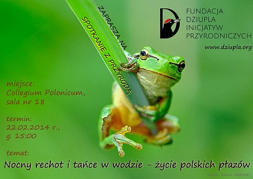 dziupla-plazy-plakat