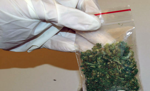 marihuana cybinka