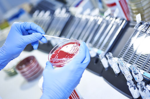 instytut oderland th