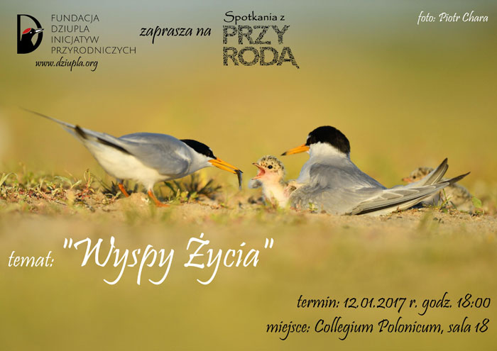 wyspy zycia