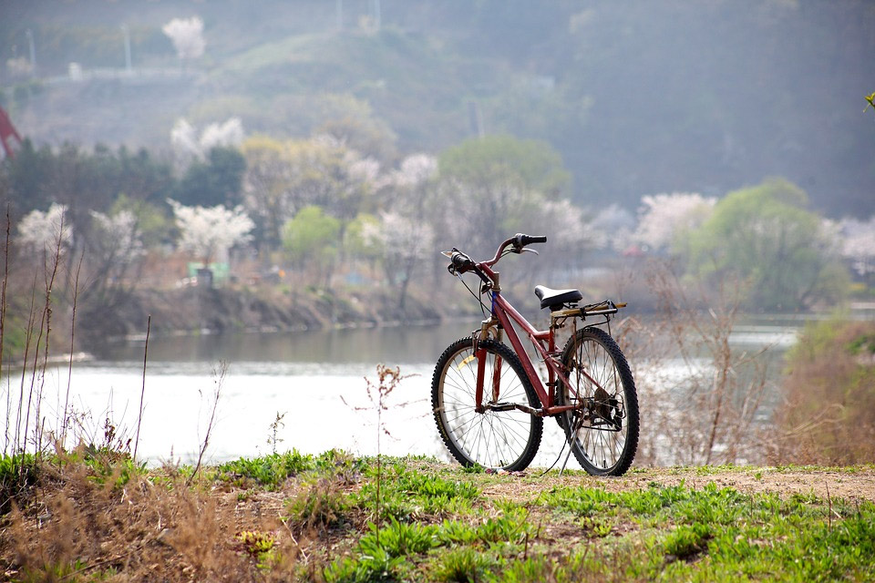rower odra