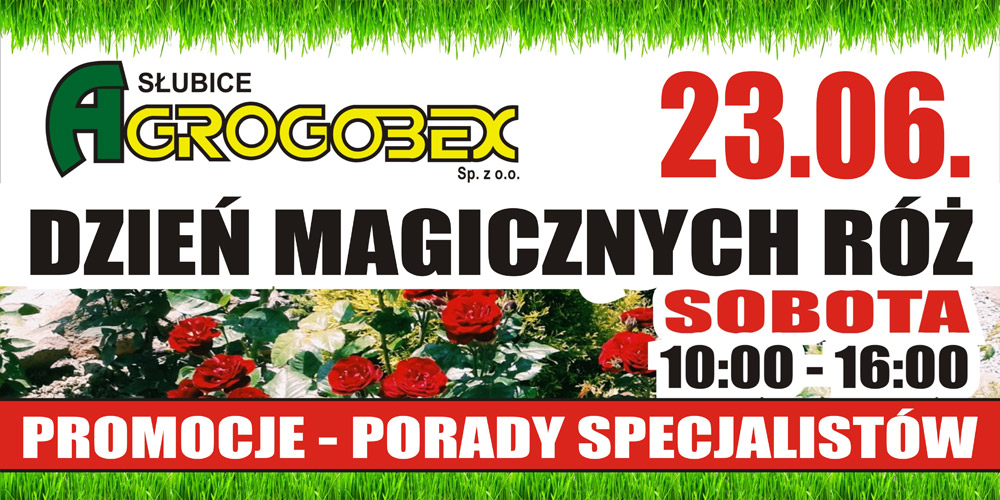 dzien magicznych_roz