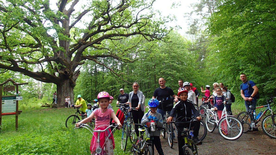 Akademia Małego Leśnika