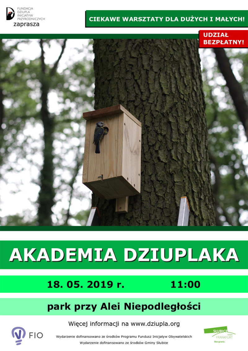 akademia dziuplaka_plakat