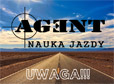 agent prawko_th