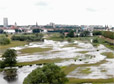 Odra