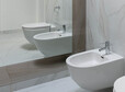 thumb bidet