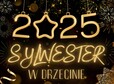 thumb sylwester drzecin