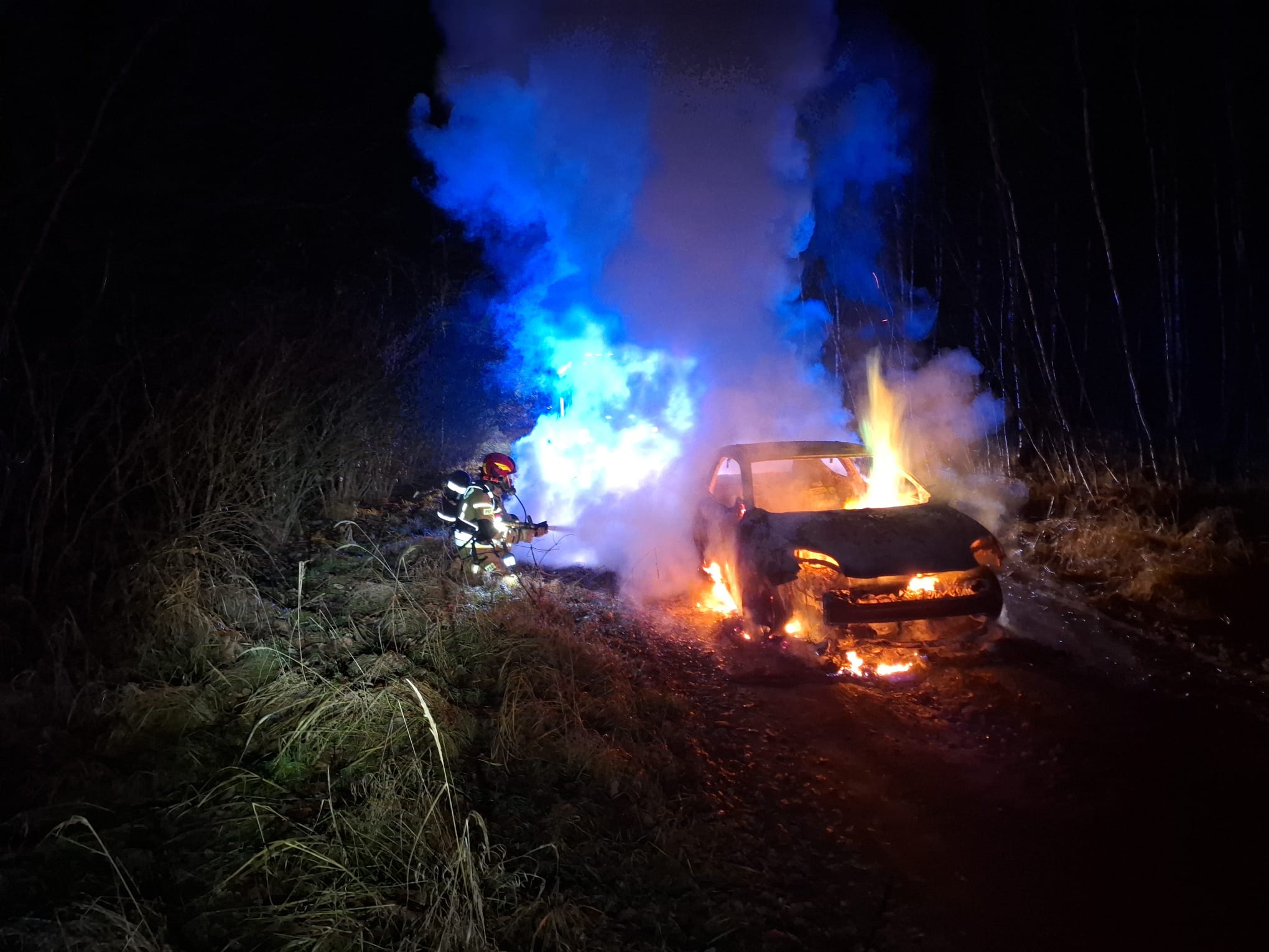 Strażacy podczas akcji gaszenia pożaru porzuconego w lesie auta