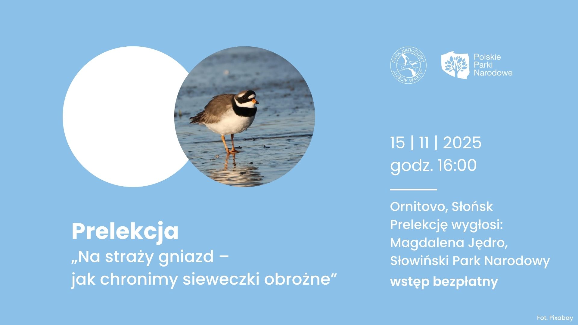 Na straży gniazd. Spotkanie z Magdaleną Jędro w Ornitovie