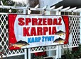 thumb karp sp1 slubice