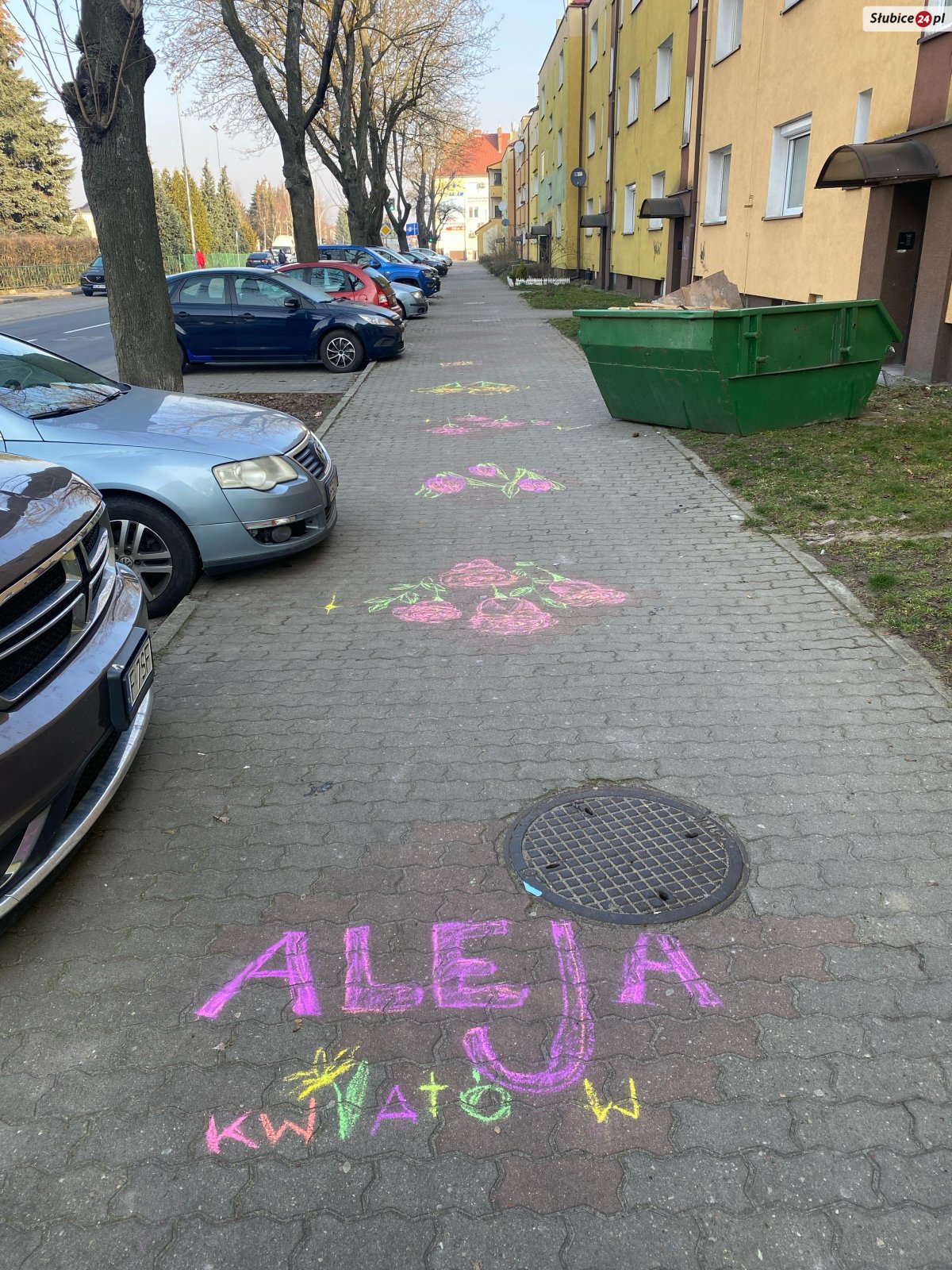 Aleja kwiatów na al. Niepodległości