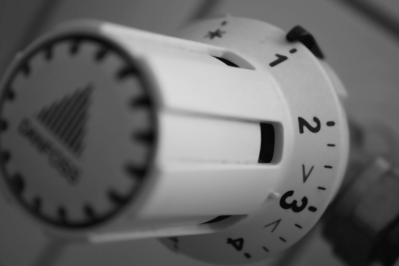 Grzejnik olejowy elektryczny – dlaczego warto go zakupić?