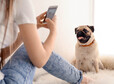 Beautiful young woman taking photo of cute pug dog at home
