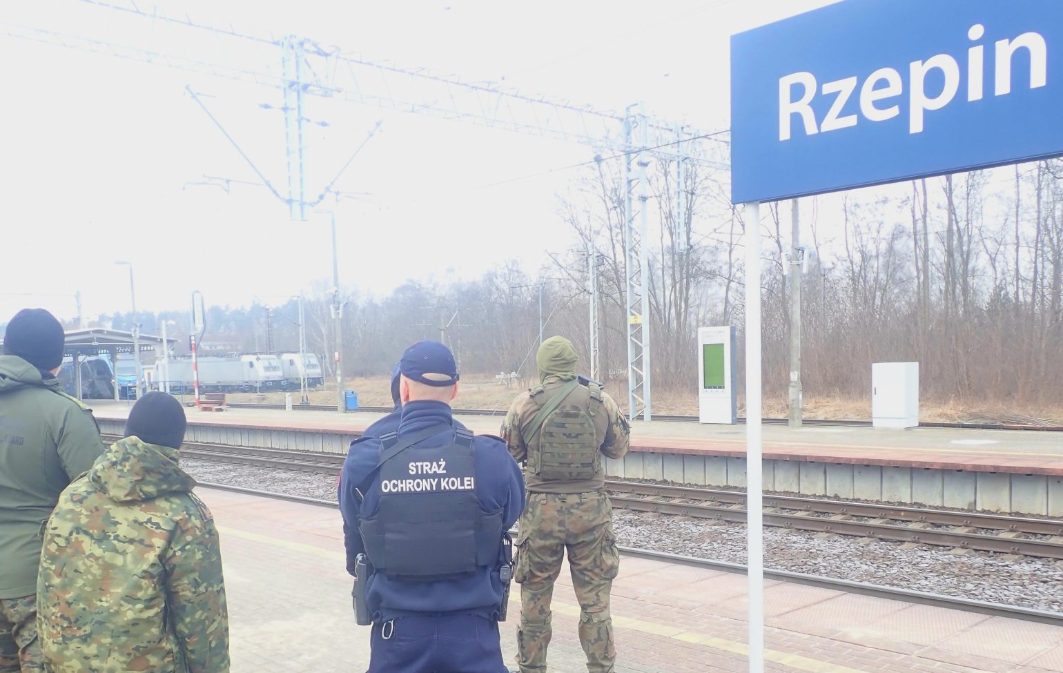 W Rzepinie doszło do interwencji w pociągu relacji Berlin-Warszawa (fot. SOK)