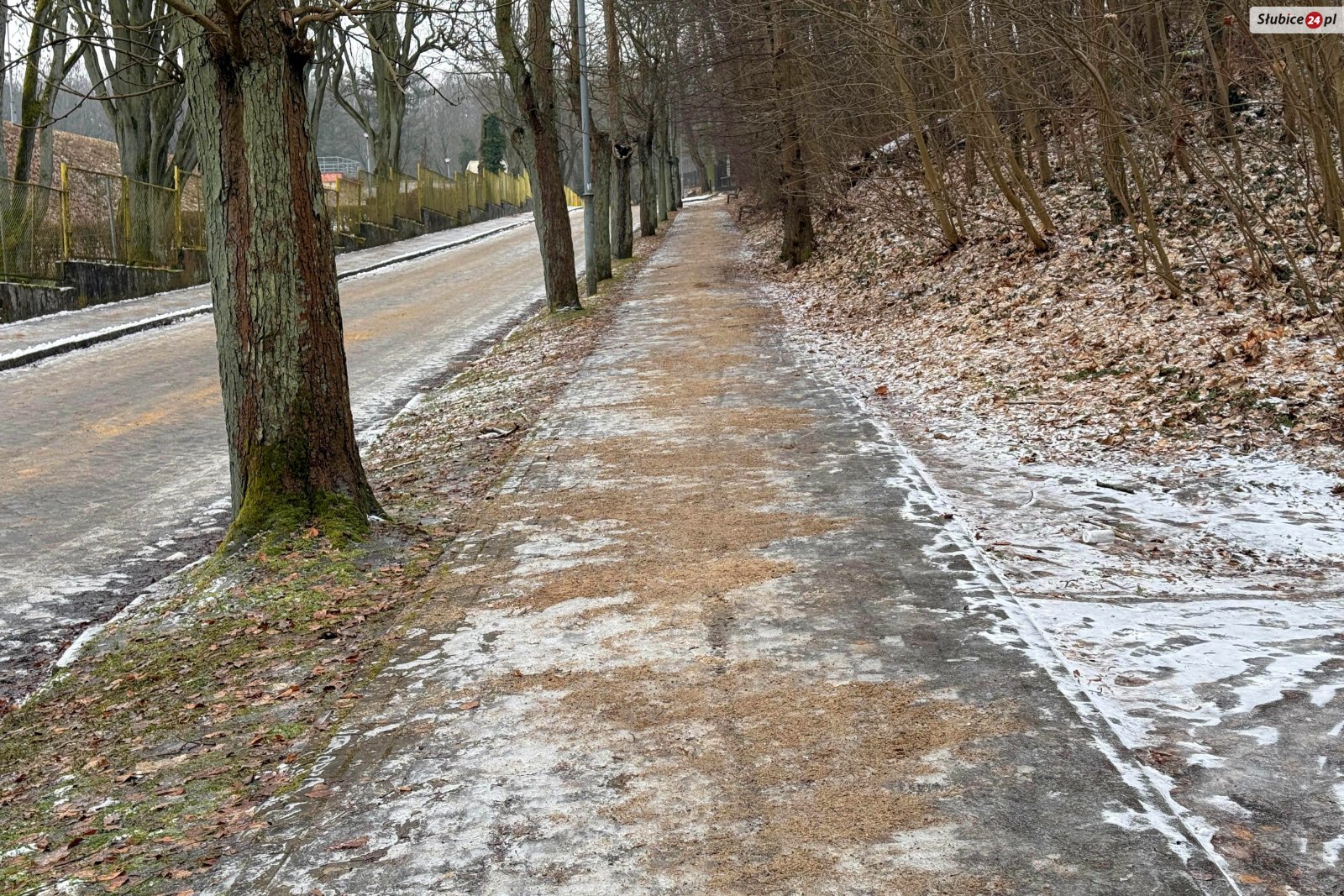 Droga i chodnik na cmentarz zostały posypane piaskiem