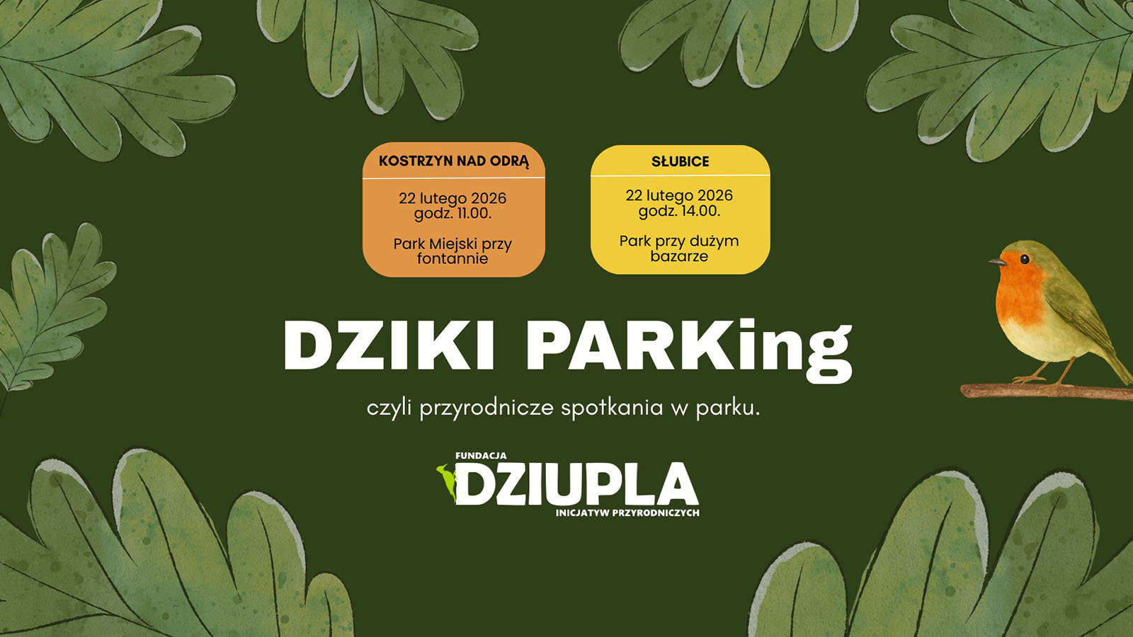 dziki parking dziupla