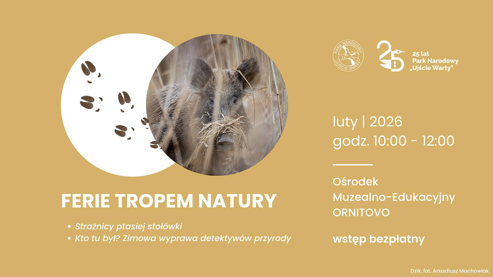 Park Narodowy Ujście Warty zaprasza na ferie tropem natury