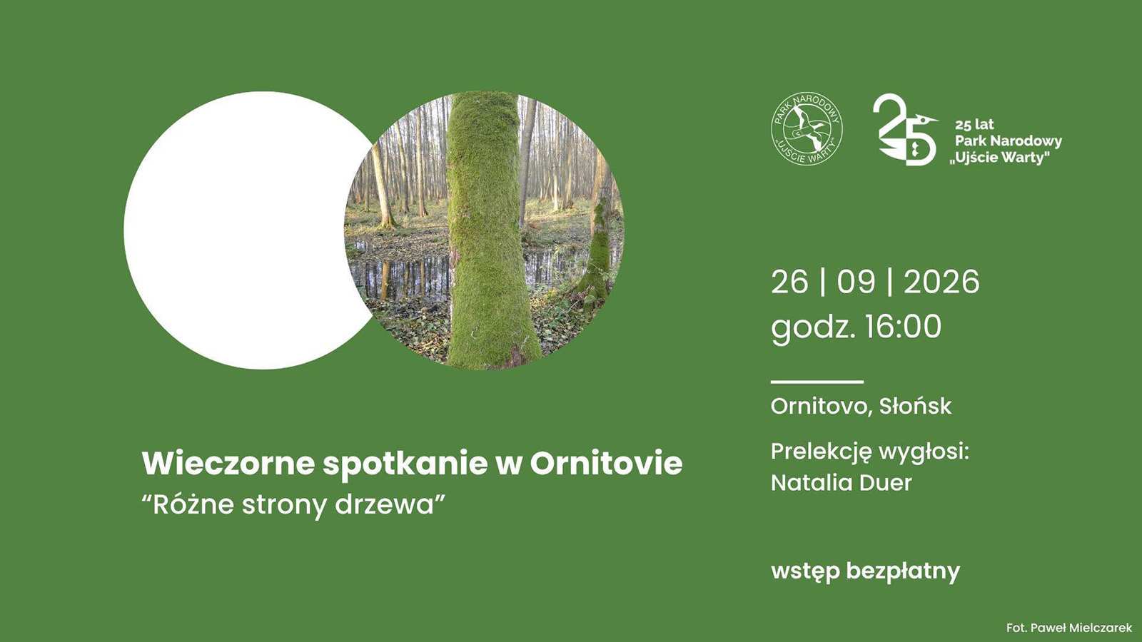 rozne strony drzewa