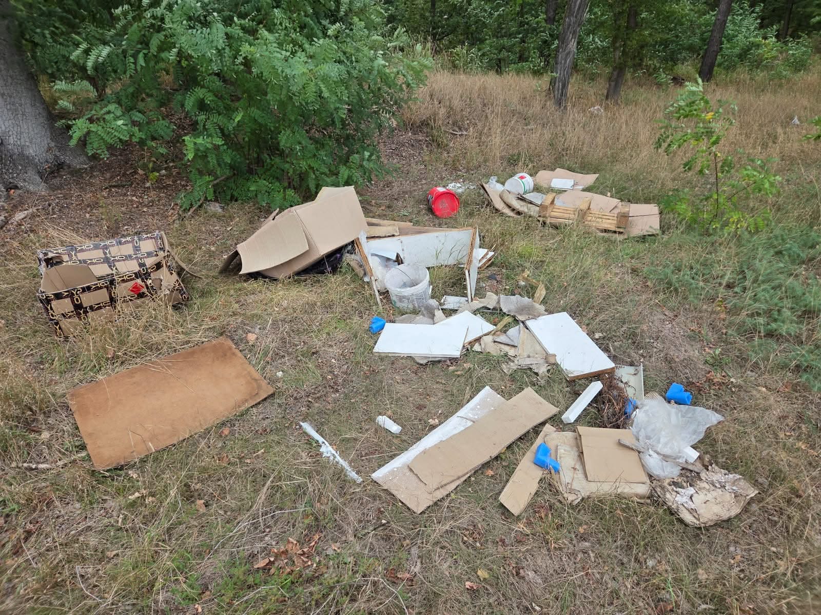 Mieszkaniec Drzecina wyrzucił śmieci do lasu z... adresem na paczkach