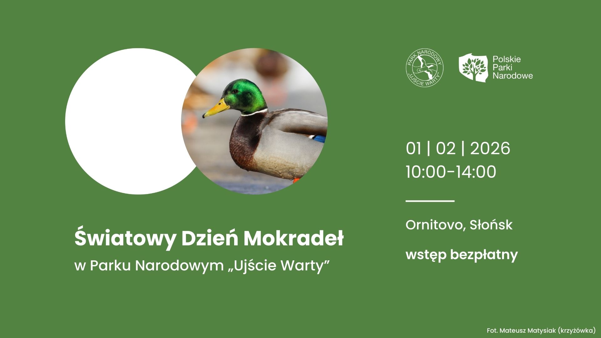Światowy Dzień Mokradeł w Parku Narodowym „Ujście Warty”