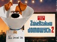 thumb aktywna niedziela