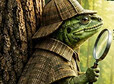thumb cybinskie przygody z gadami