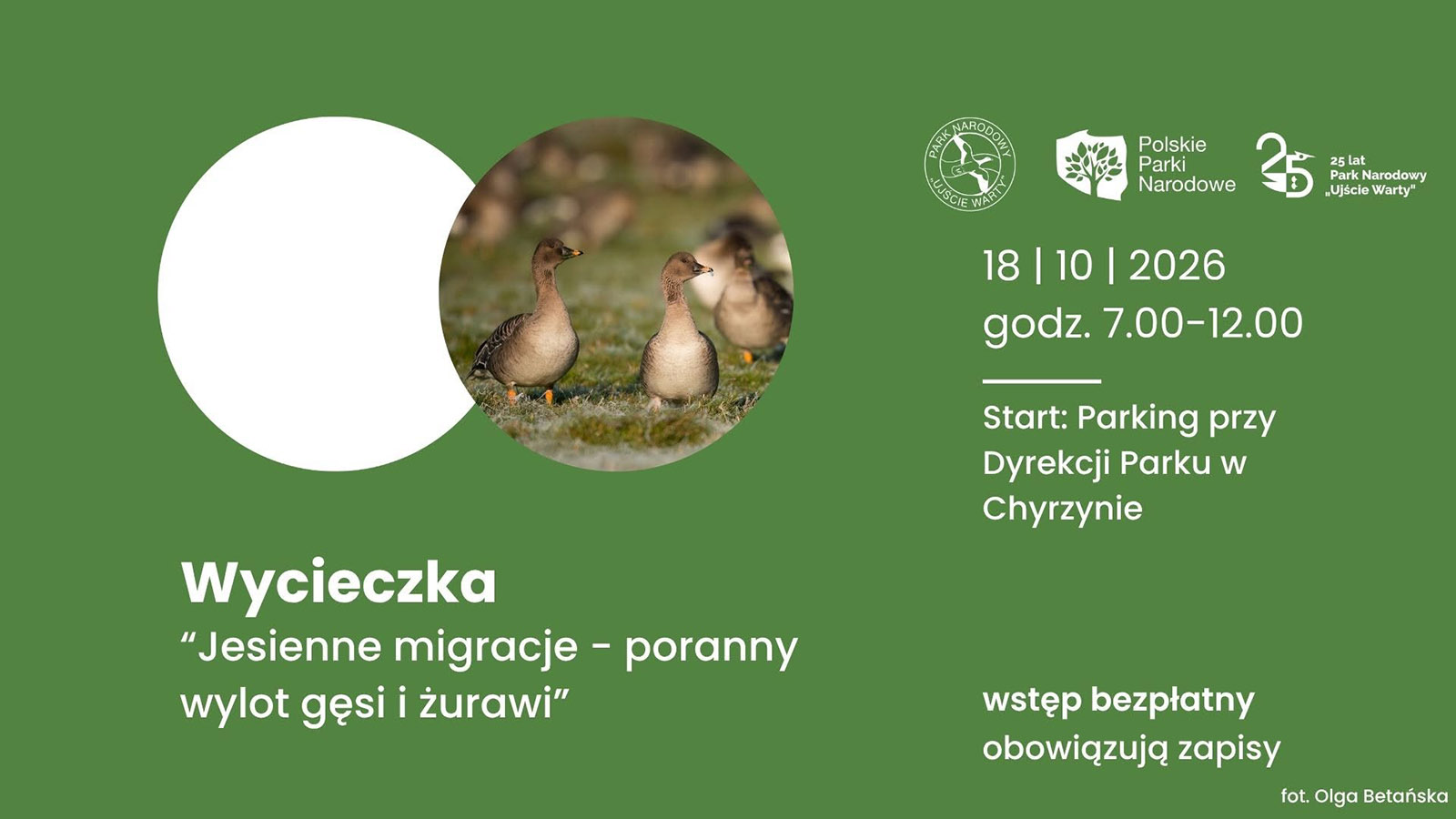 Jesienne migracje w Parku Narodowym „Ujście Warty”. Będzie można zobaczyć poranny wylot tysięcy ptaków