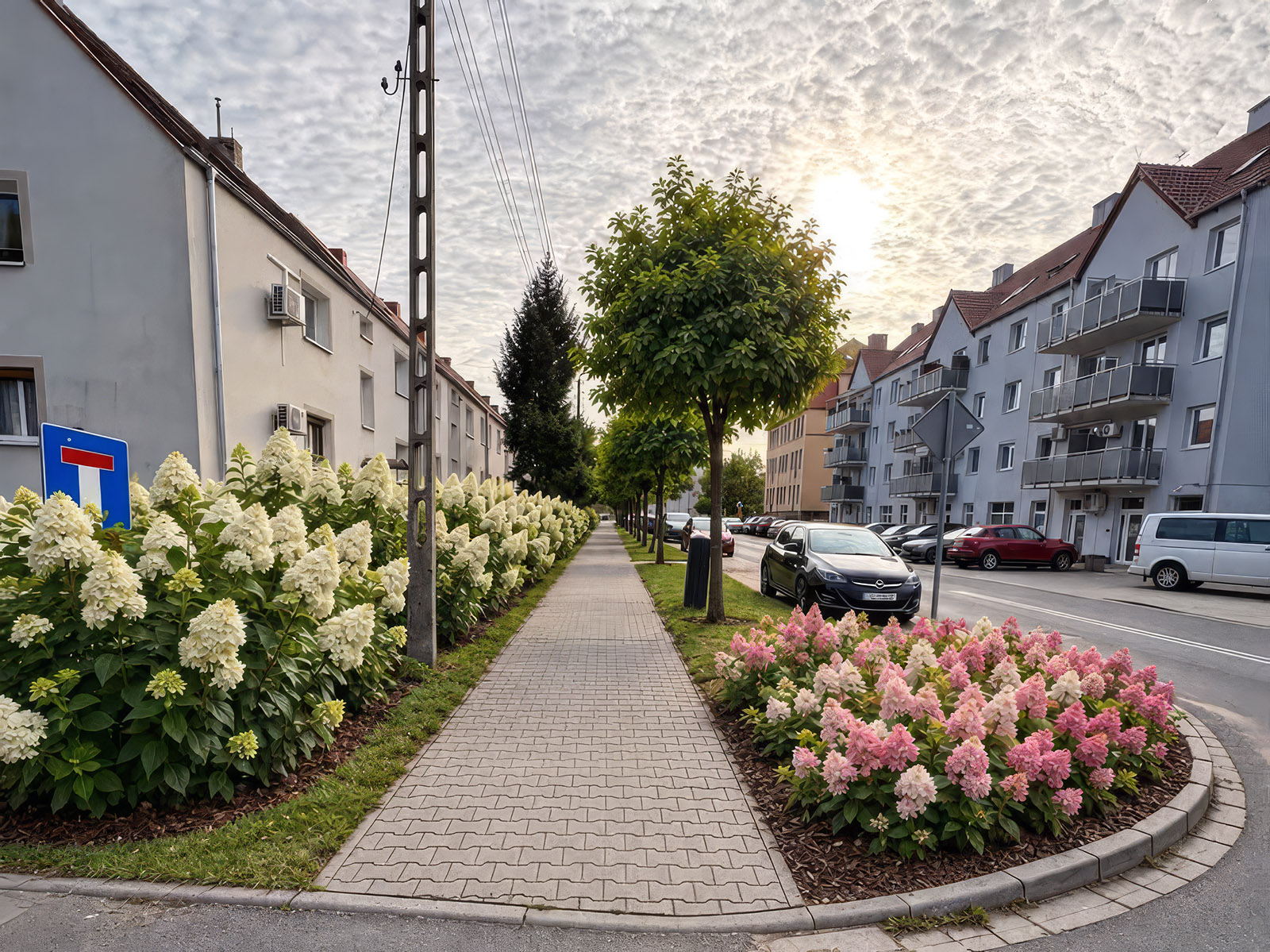 Przygotowana przez radnego wizualizacja wyglądu ulicy po realizacji nasadzeń