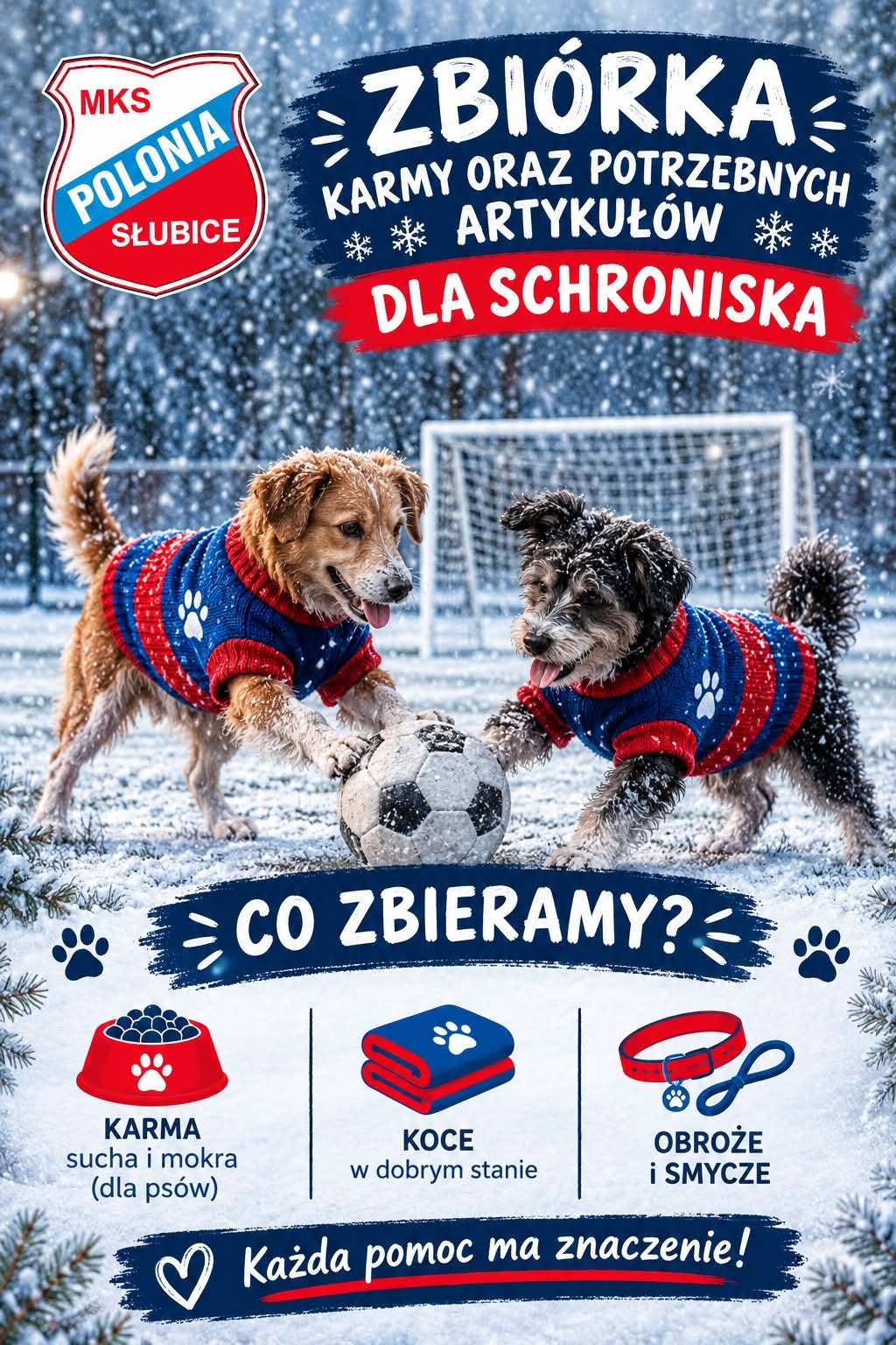 zbiorka dla psow gorzyca