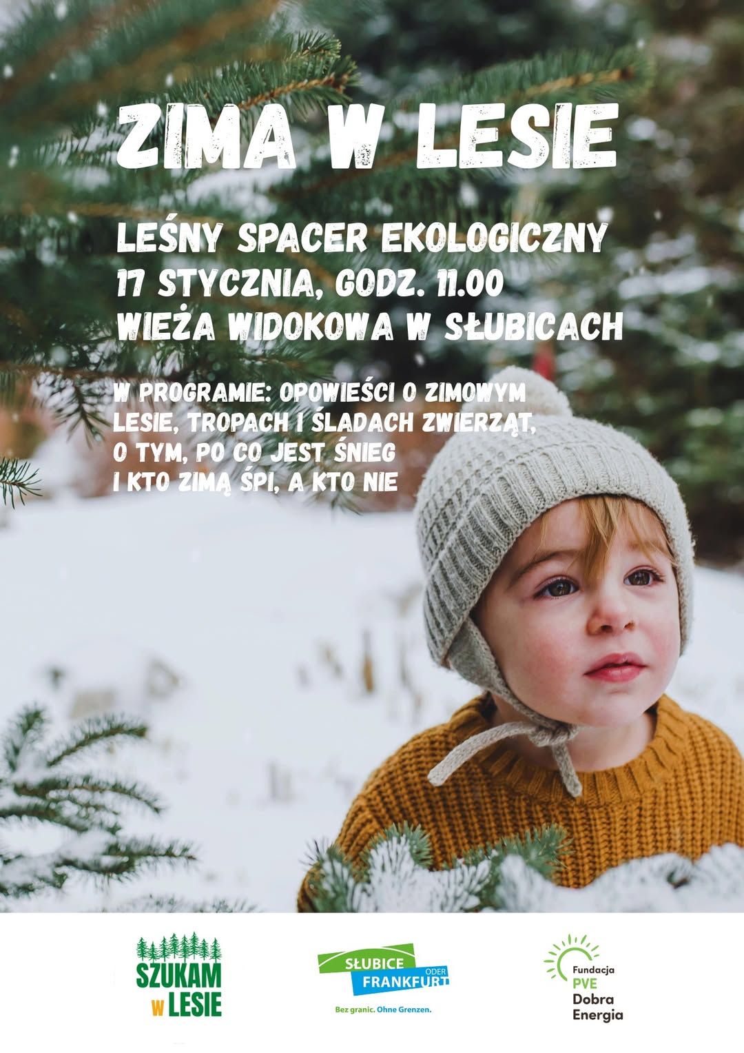 W Słubicach odbędzie się ostatni spacer edukacyjny z Mikołajem Basińskim