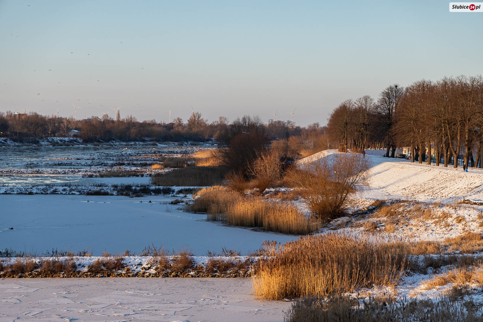Widok na brzegi Odry i Słubice z mostu granicznego