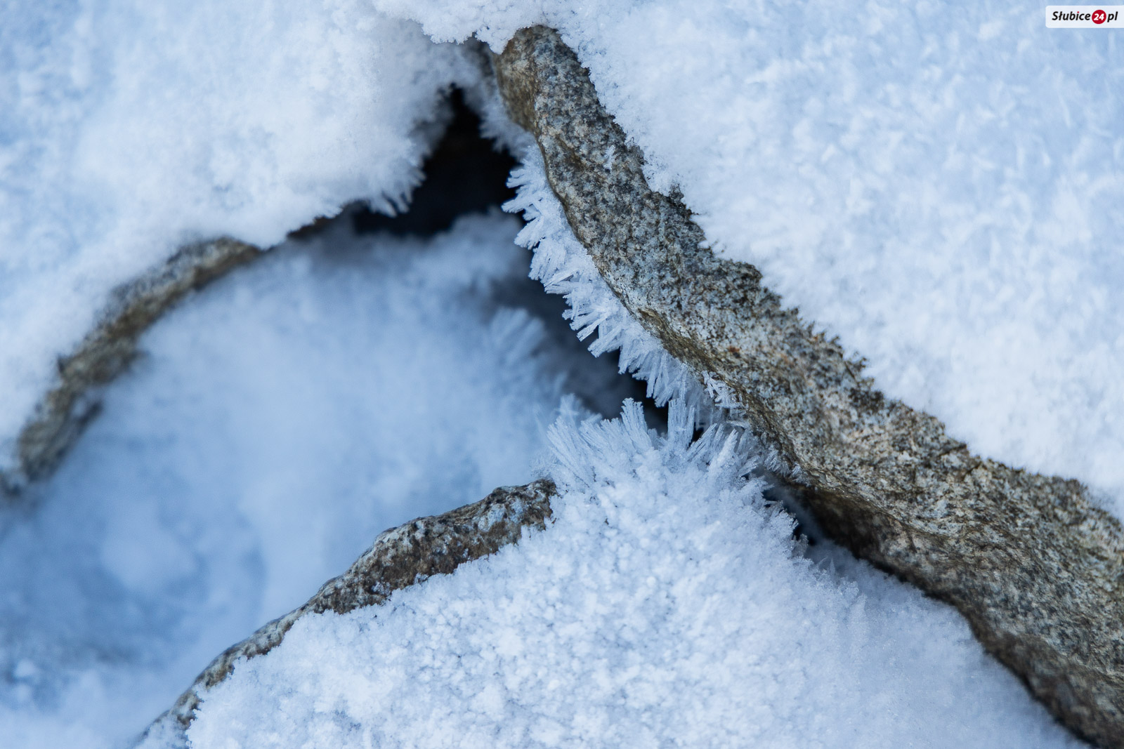 Jak chronić się przed mrozem i wychłodzeniem?