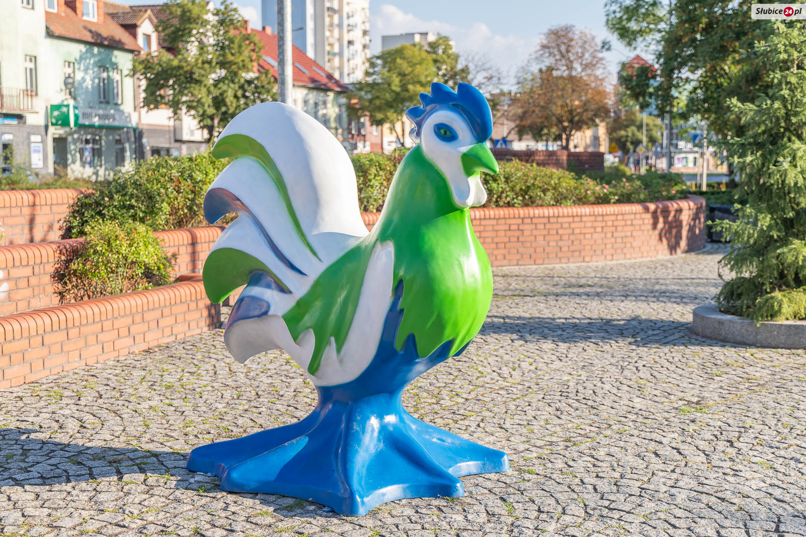 Słubickie koguty odzyskały kolory. Zobaczcie, jak teraz wyglądają (foto)