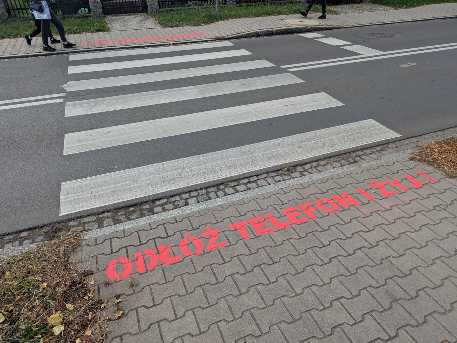 Do Słubic wróciła akcja „Odłóż telefon i żyj”